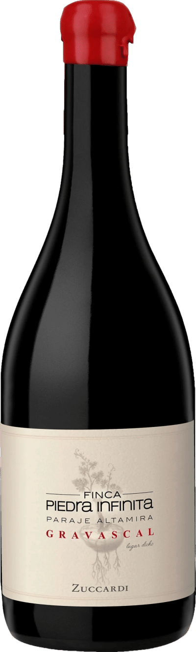 Zuccardi Finca Piedra Infinita Gravascal 2020
