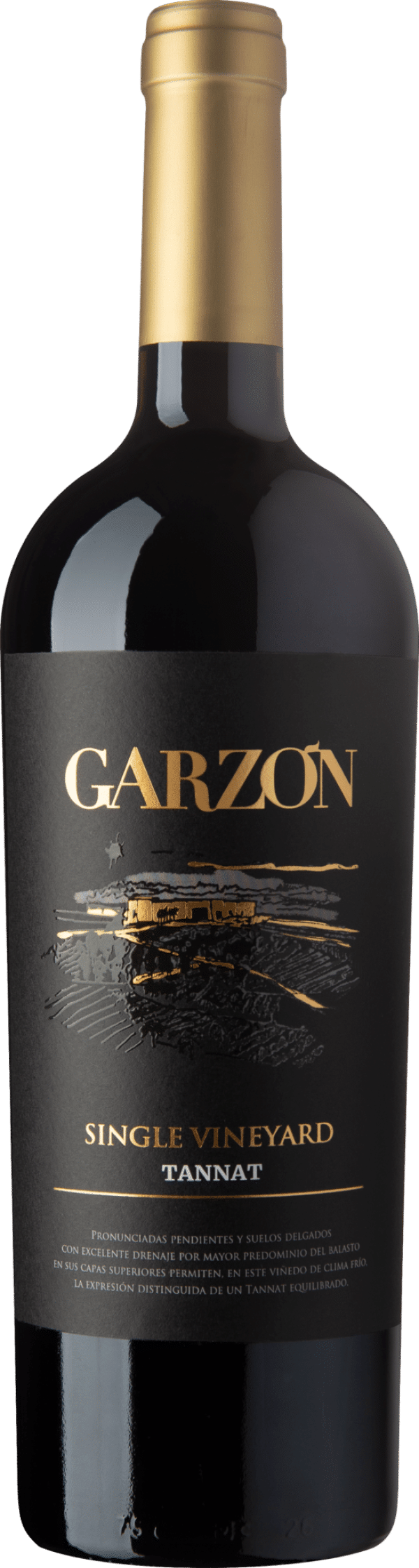 Bodega Garzon Single Vineyard Tannat 2022